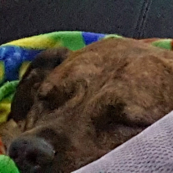 Meet your Posher, Janae - Picture 2 of 2